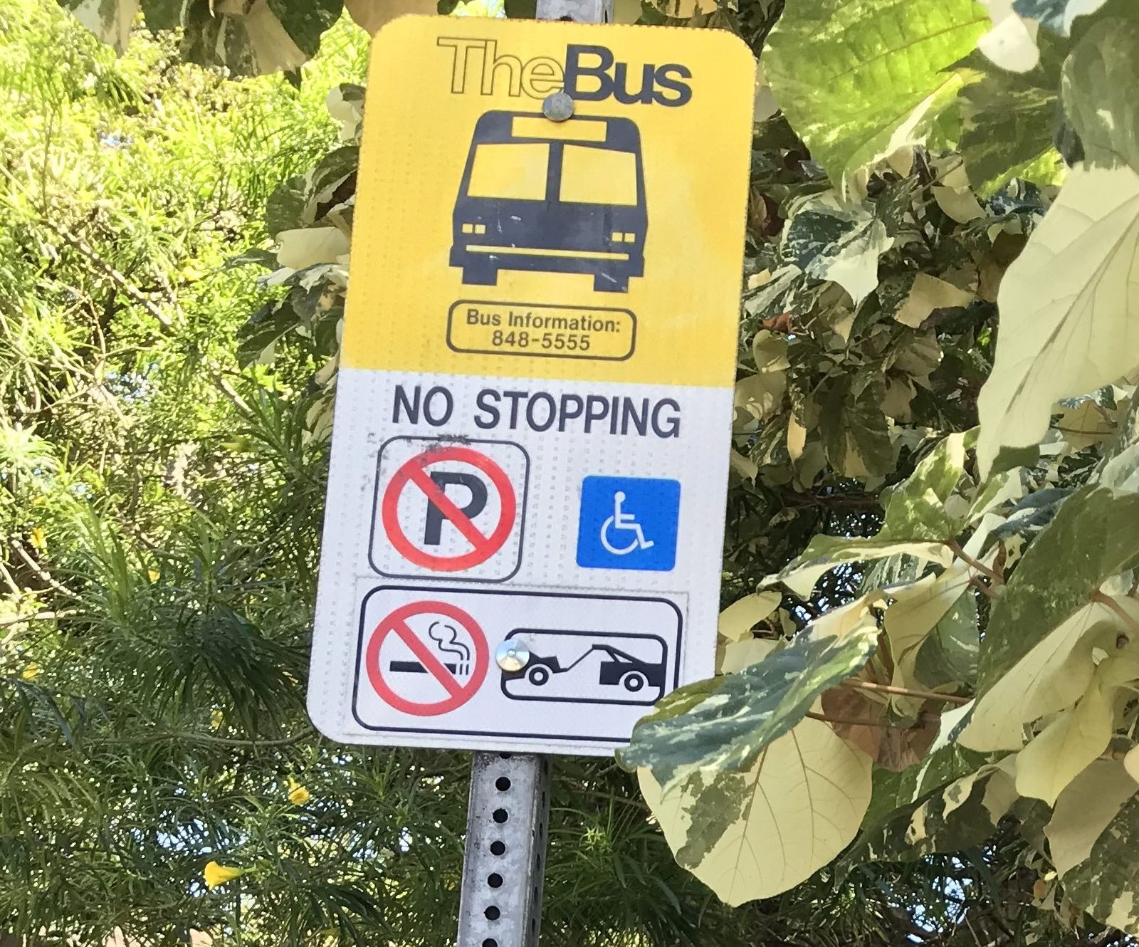 バス停看板例